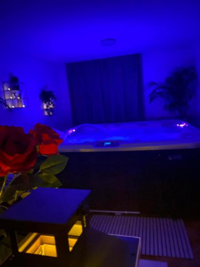 Willa Anna Bukowina & Spa